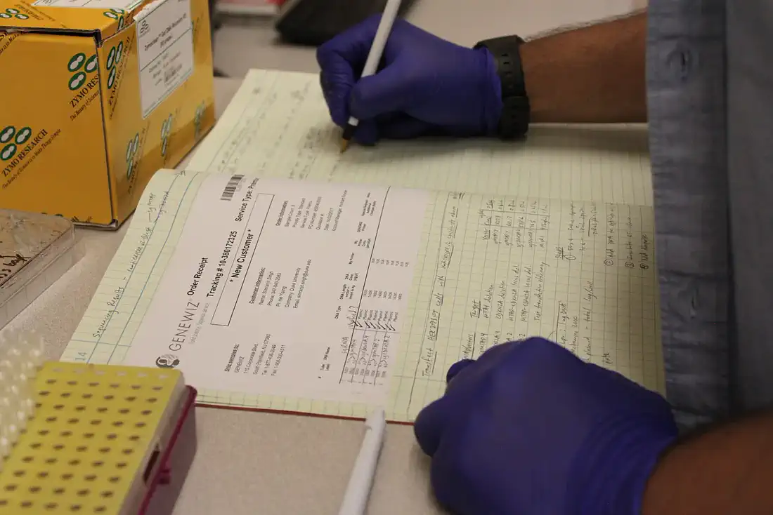 Structured technical report and traceability reference